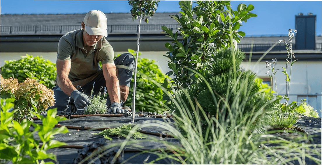 Landscaping & Outdoor